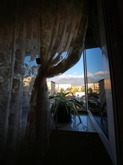 Quiet, Cozy, Luminous Apartment Tirana Exterior foto