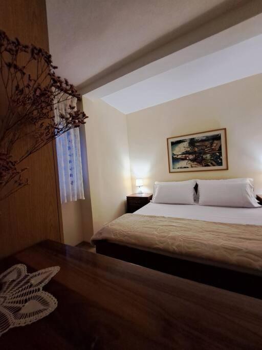 Quiet, Cozy, Luminous Apartment Tirana Exterior foto